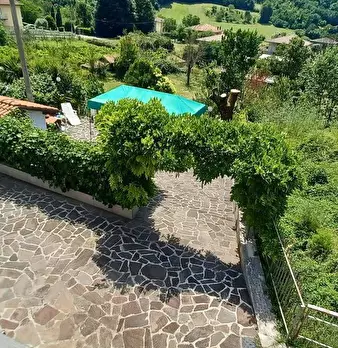 Foto annuncio 30