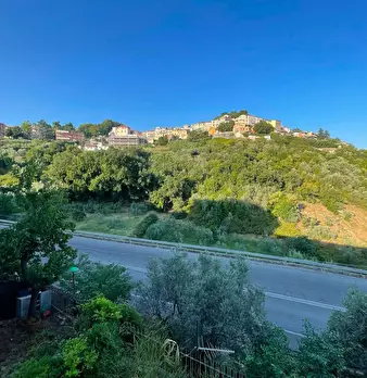 Foto annuncio 9