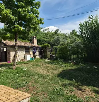 Foto annuncio 6
