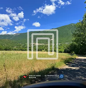 Foto annuncio 53