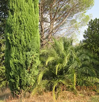 Foto annuncio 4