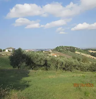 Foto annuncio 7