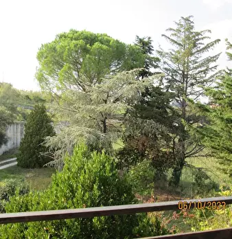 Foto annuncio 17