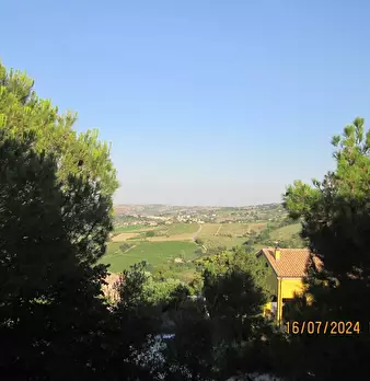 Foto annuncio 20