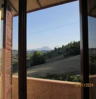 Foto annuncio 25