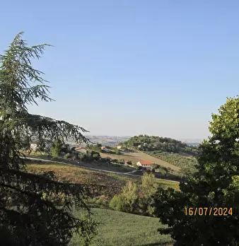 Foto annuncio 6