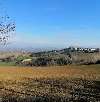 Foto annuncio 10