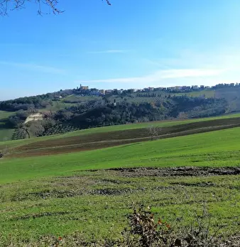 Foto annuncio 6