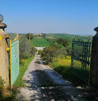 Foto annuncio 5