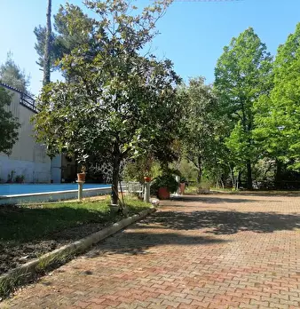 Foto annuncio 7