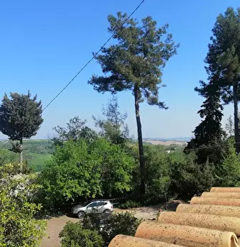 Foto annuncio 2