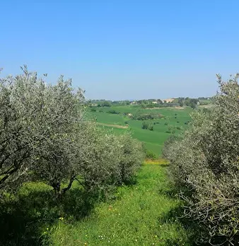 Foto annuncio 11