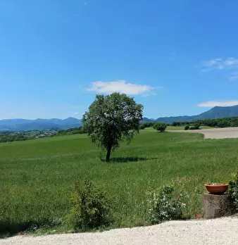 Foto annuncio 11