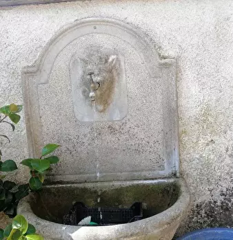 Foto annuncio 9