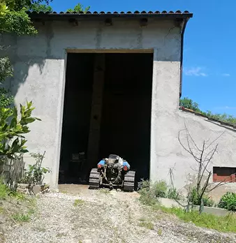 Foto annuncio 31