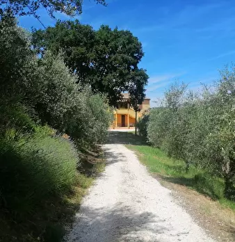 Foto annuncio 7