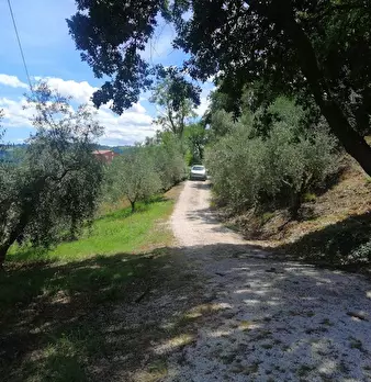 Foto annuncio 39