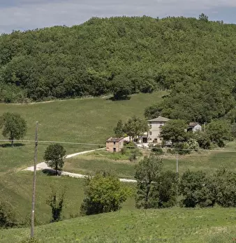Foto annuncio 1