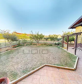 Foto annuncio 66