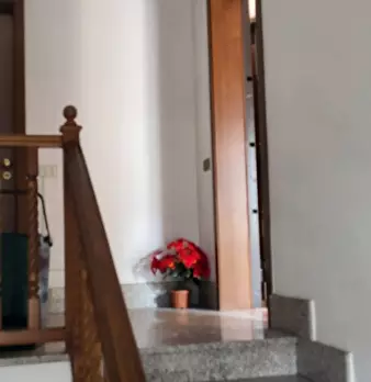 Foto annuncio 26