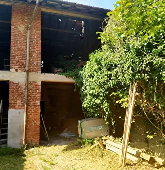 Foto annuncio 5
