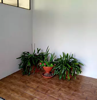 Foto annuncio 25