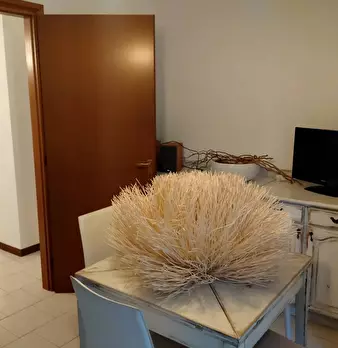 Foto annuncio 24