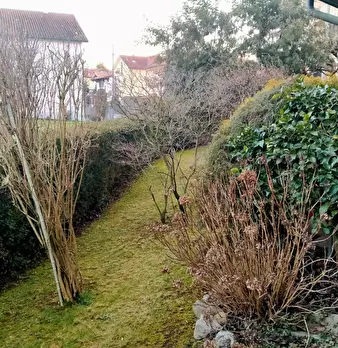 Foto annuncio 34