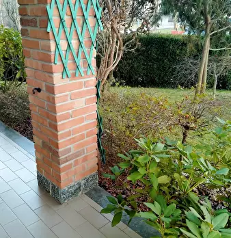 Foto annuncio 40