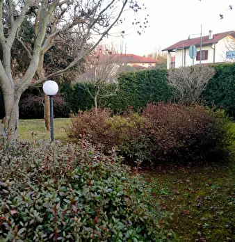 Foto annuncio 42