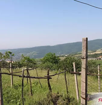 Foto annuncio 23