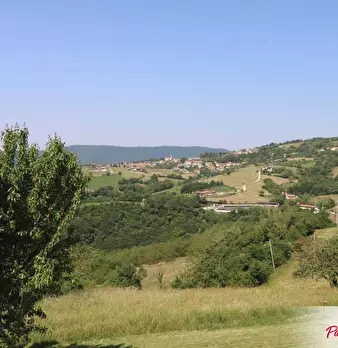 Foto annuncio 12