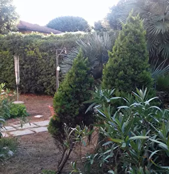 Foto annuncio 11