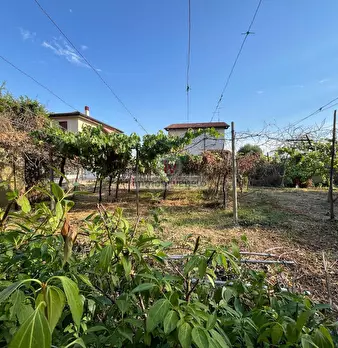 Foto annuncio 9