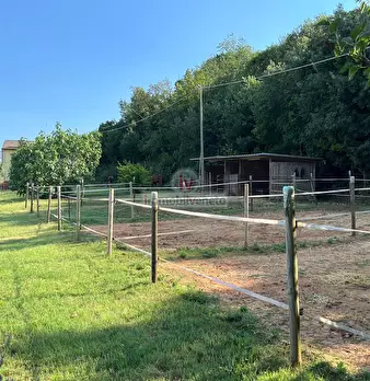 Foto annuncio 18