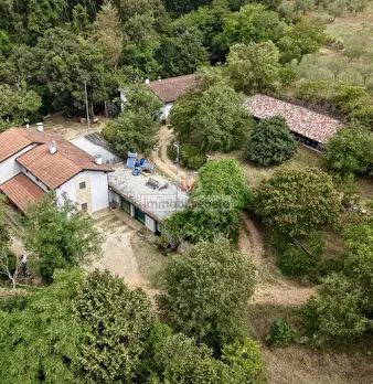 Foto annuncio 28