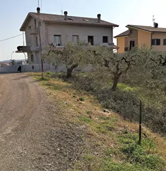 Foto annuncio 1