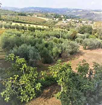 Foto annuncio 3