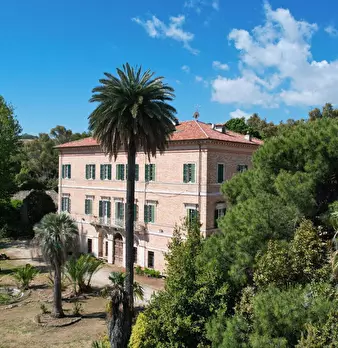 Foto annuncio 5