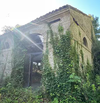 Foto annuncio 11