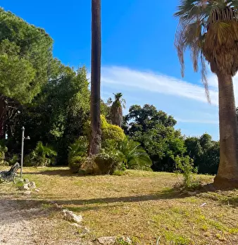 Foto annuncio 40