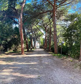 Foto annuncio 41