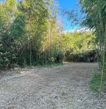 Foto annuncio 60