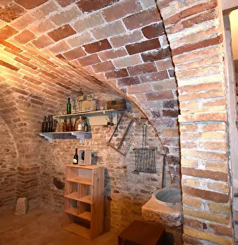 Foto annuncio 62