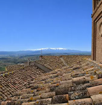 Foto annuncio 71