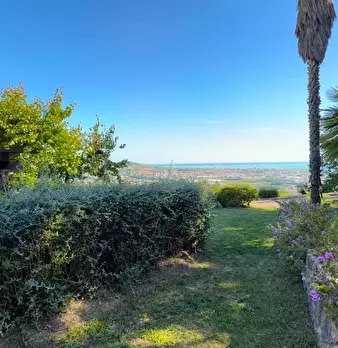 Foto annuncio 30