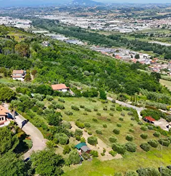 Foto annuncio 56