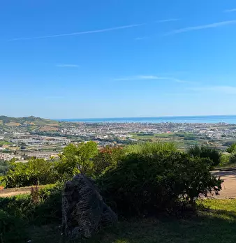 Foto annuncio 60