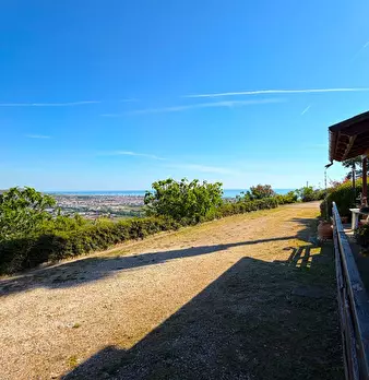 Foto annuncio 66
