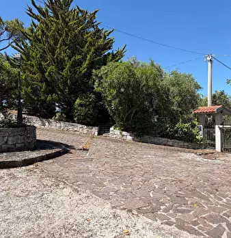 Foto annuncio 30